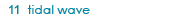tidal wave